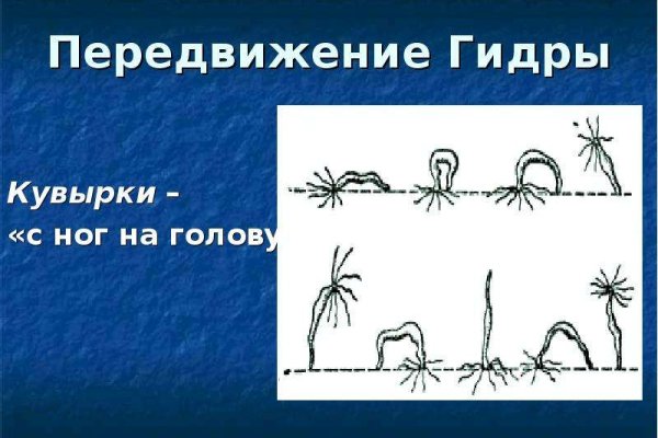 Кракен верное зеркало