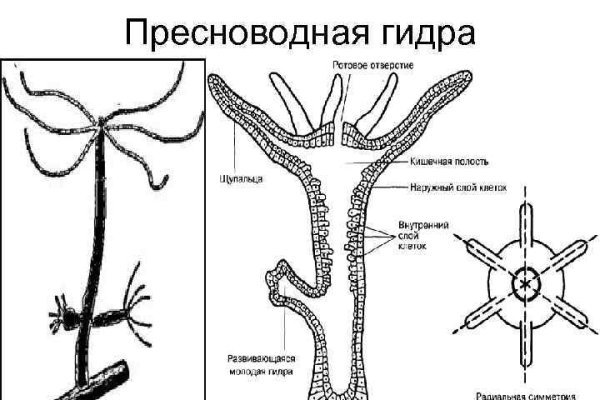 Кракен магазин kr2web in тор